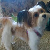 Entry image for Gracie Lou