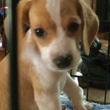 Entry image for Sonny