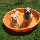 Entry image for Maisy & Raine