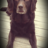 Entry image for Carly