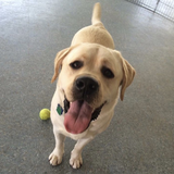 Entry image for Otis