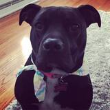 Entry image for Mable 