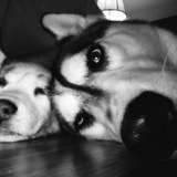 Entry image for Timber & Minka