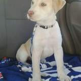 Entry image for Christmas