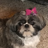 Entry image for Rosie