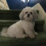 Entry image for LEO