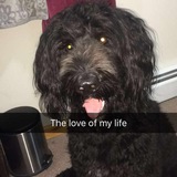 Entry image for Ty