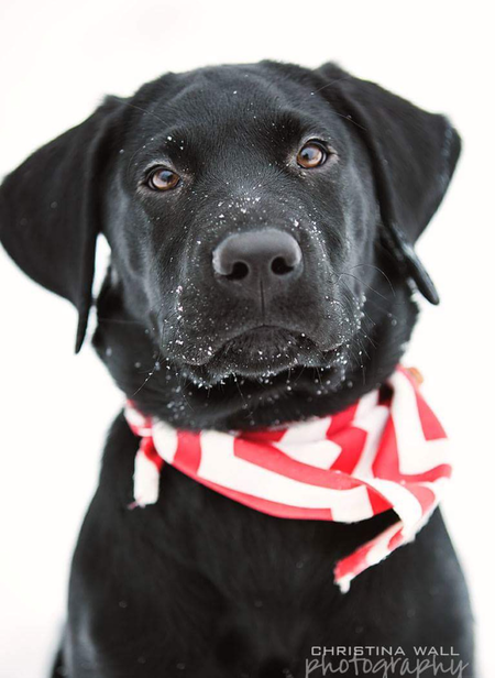 Entry image for Doug. Clicking this image will show a larger photo