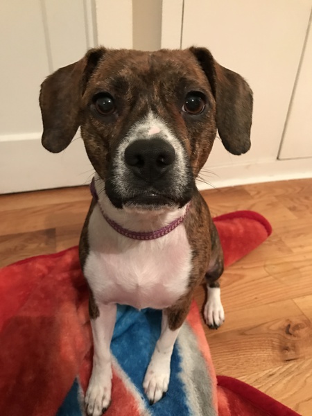 Entry image for Riley. Clicking this image will show a larger photo