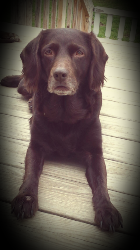 Entry image for Carly. Clicking this image will show a larger photo