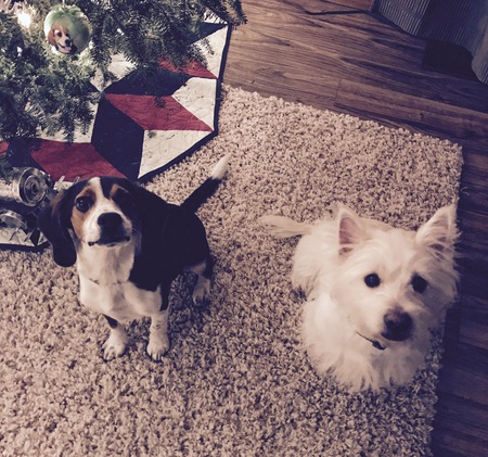 Entry image for Max & Emma Lou. Clicking this image will show a larger photo
