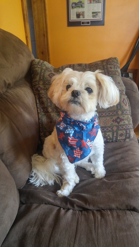 Entry image for Oliver Basil. Clicking this image will show a larger photo
