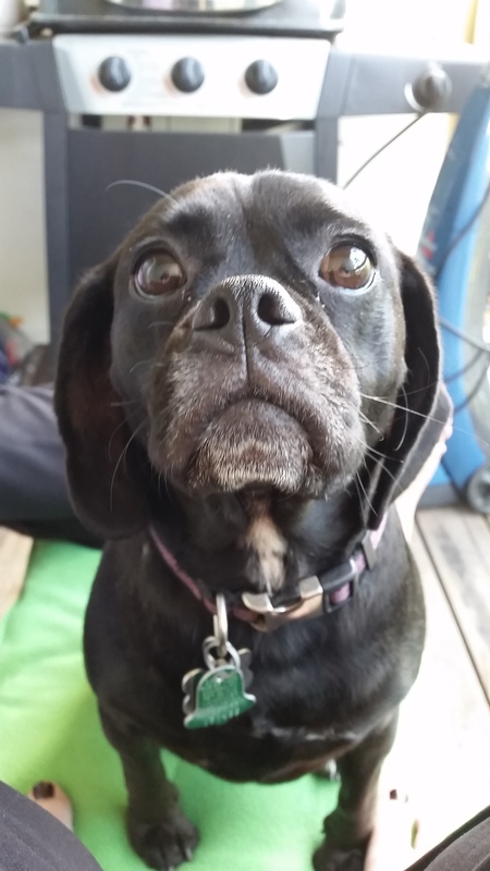 Pepper