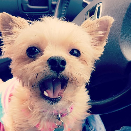 NALA