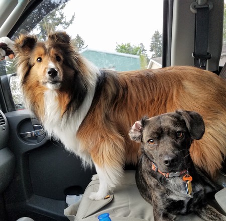 Piper and Idgie
