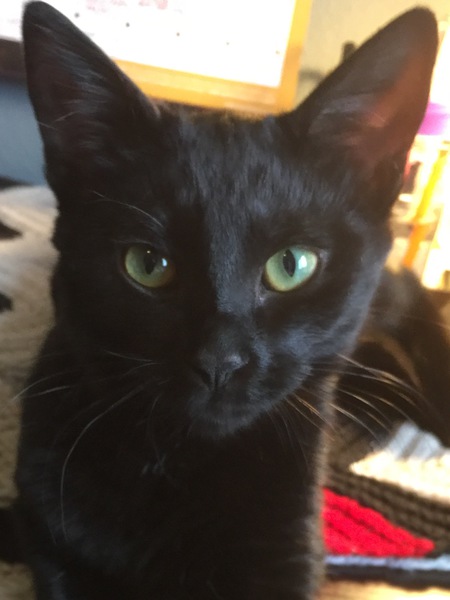 Sophie