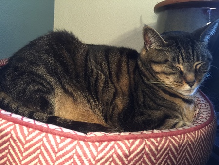 Lucy