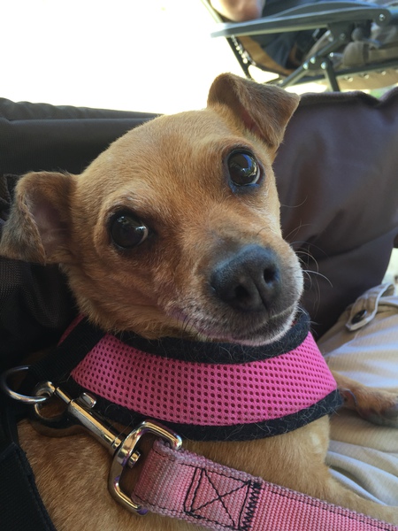 Roxie