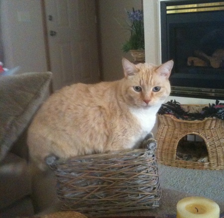 Sonny