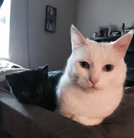 CASPER & EDDIE