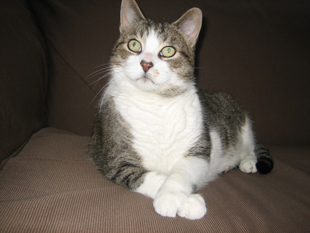 Richard