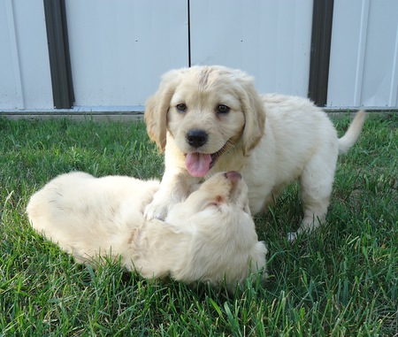 Annie