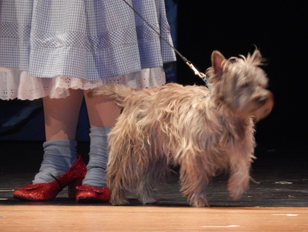 Toto