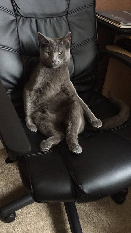 Hannibal 