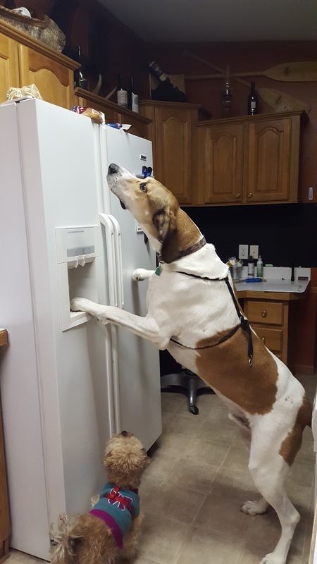 Meatloaf 