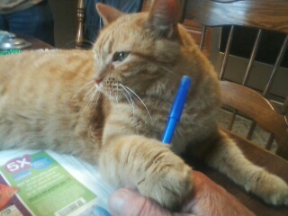 Tiggs