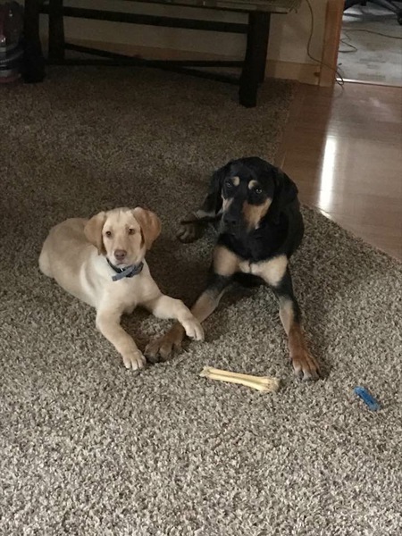 Nala and River