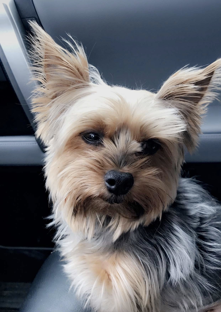 Max