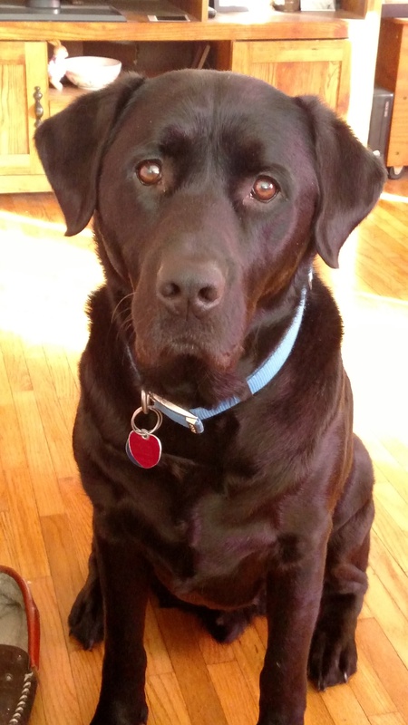 Winston