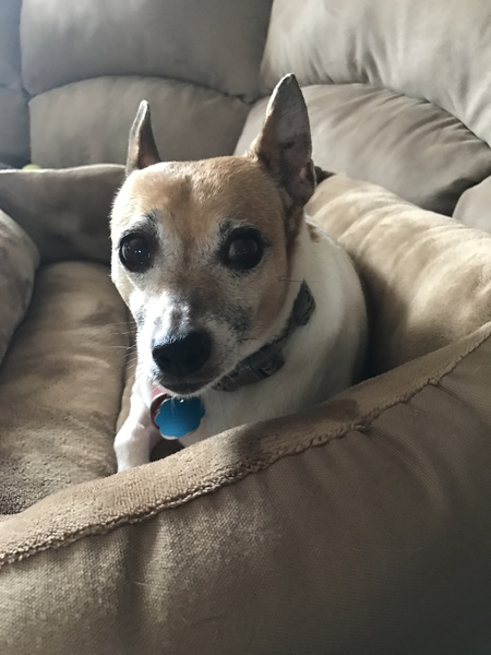 Molly