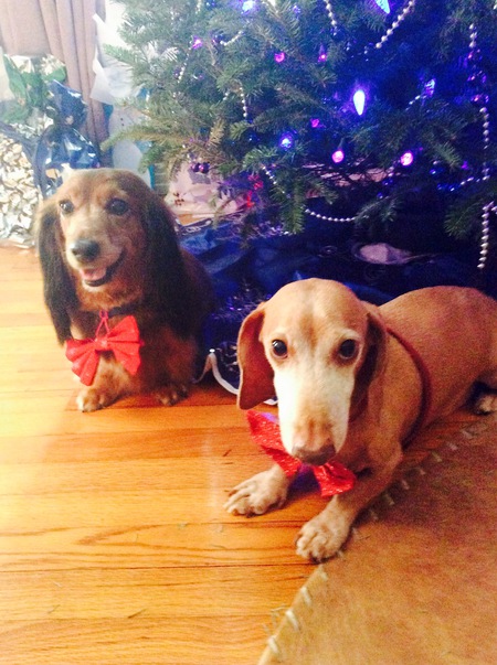 Rocky & Roanie Holloway