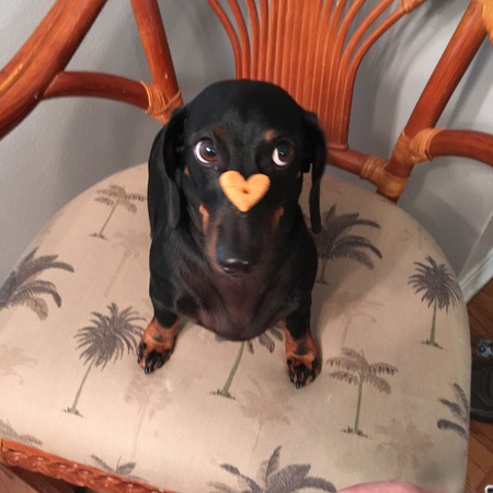 Max