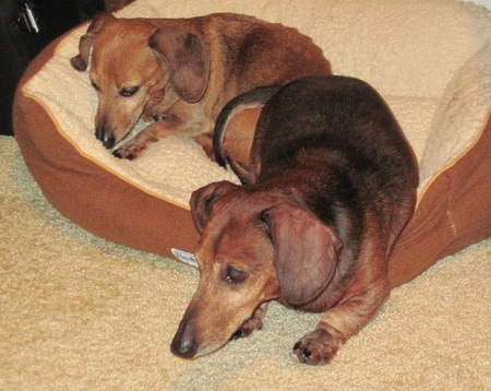 PeeWee & Bubba