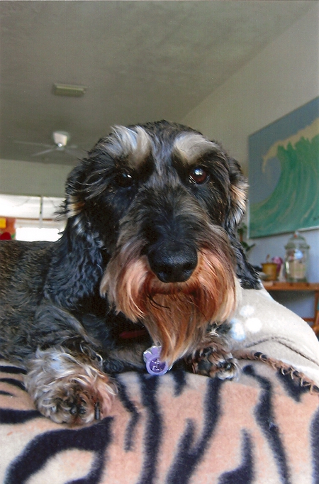 crackerjack
