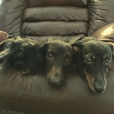Oscar, Sammy & Leroy