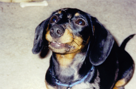 Roxie