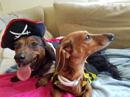 Samantha & DB Cooper 