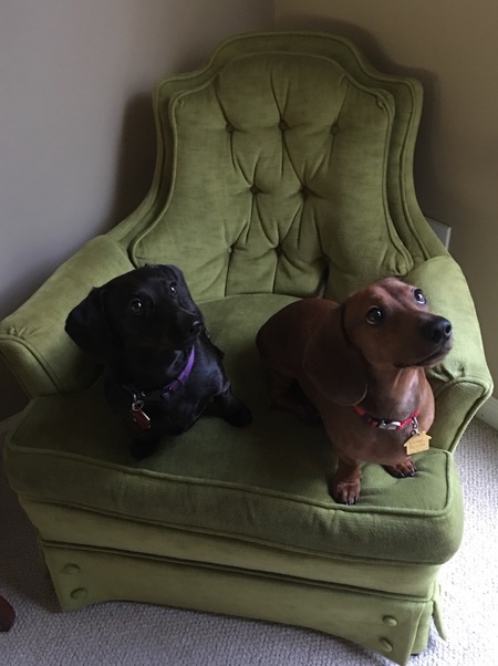 Stella & Oskar