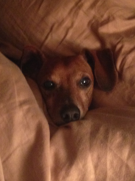 Rusty