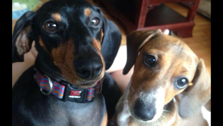 Reese and Rosie