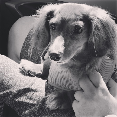 Molly