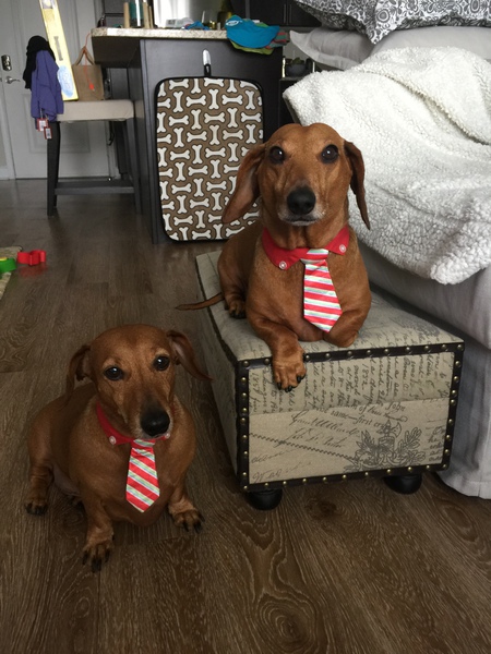 Roscoe & Bubba