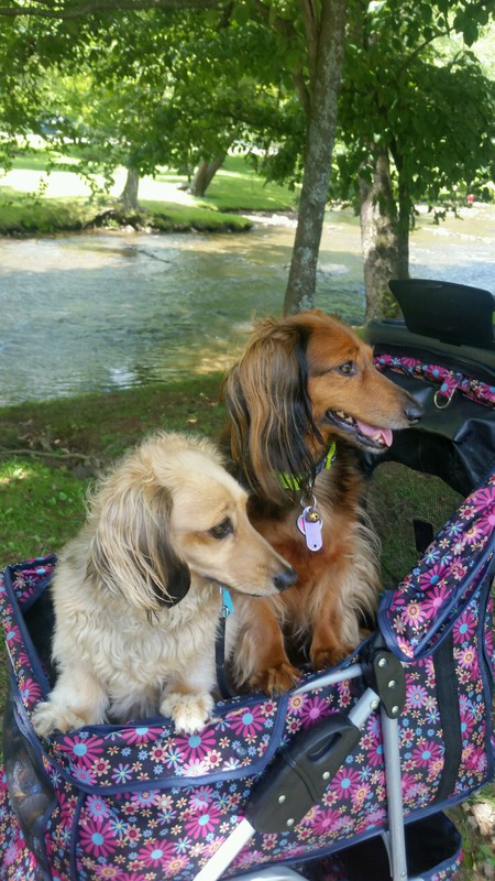 Patsy & Piper
