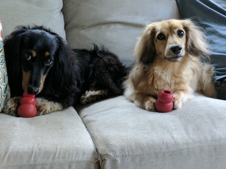 Baxter and Newton