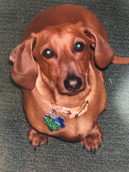 Tucker Boy