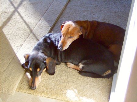 Chadwick & Peanut